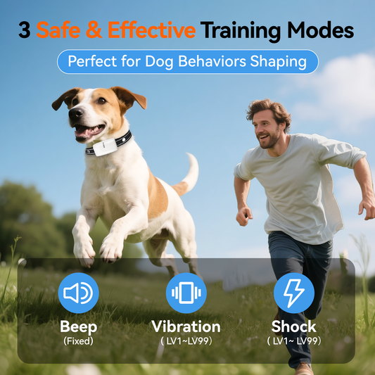 LAKWAR Dog Training Collar 2 Pack- IP67 Waterproof Rechargeable Shock Collars for Small Medium Large Dogs with 2624 ft Remote Range, Beep, Vibration, ShocK Modes & Safe Lock