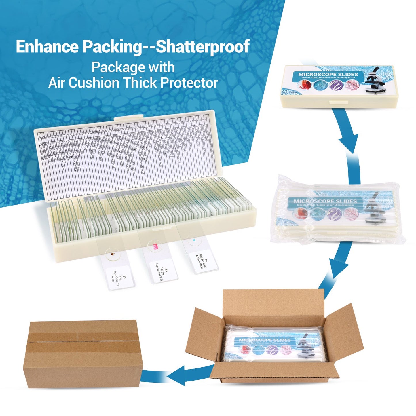 60PCs Microscope Slides, Prepared Microscope Slides with Specimens for Kids Microbiology,Prepared Microscope Slides for Adults