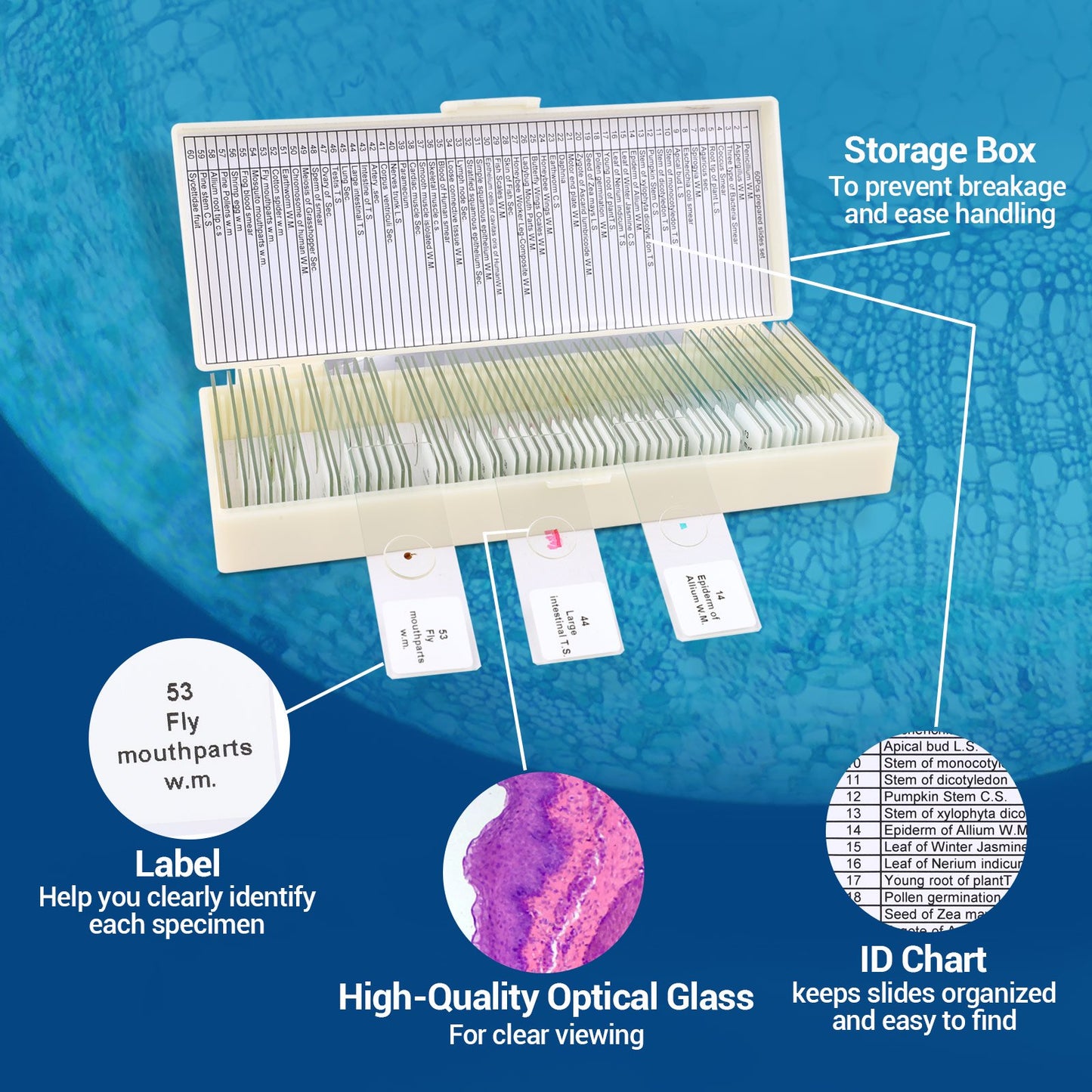 60PCs Microscope Slides, Prepared Microscope Slides with Specimens for Kids Microbiology,Prepared Microscope Slides for Adults