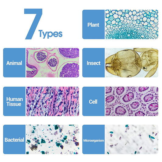 60PCs Microscope Slides, Prepared Microscope Slides with Specimens for Kids Microbiology,Prepared Microscope Slides for Adults