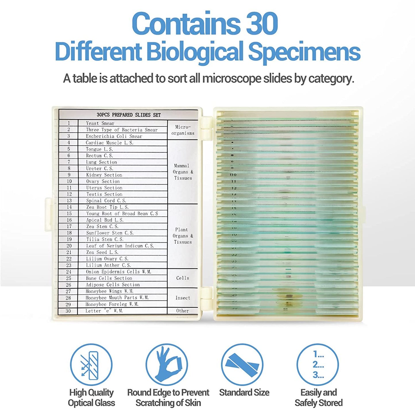 30PCs Microscope Slides, Prepared Microscope Slides with Specimens for Kids Microbiology,Prepared Microscope Slides for Adults