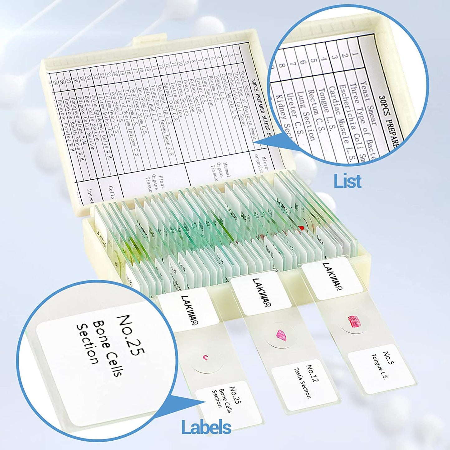 30PCs Microscope Slides, Prepared Microscope Slides with Specimens for Kids Microbiology,Prepared Microscope Slides for Adults
