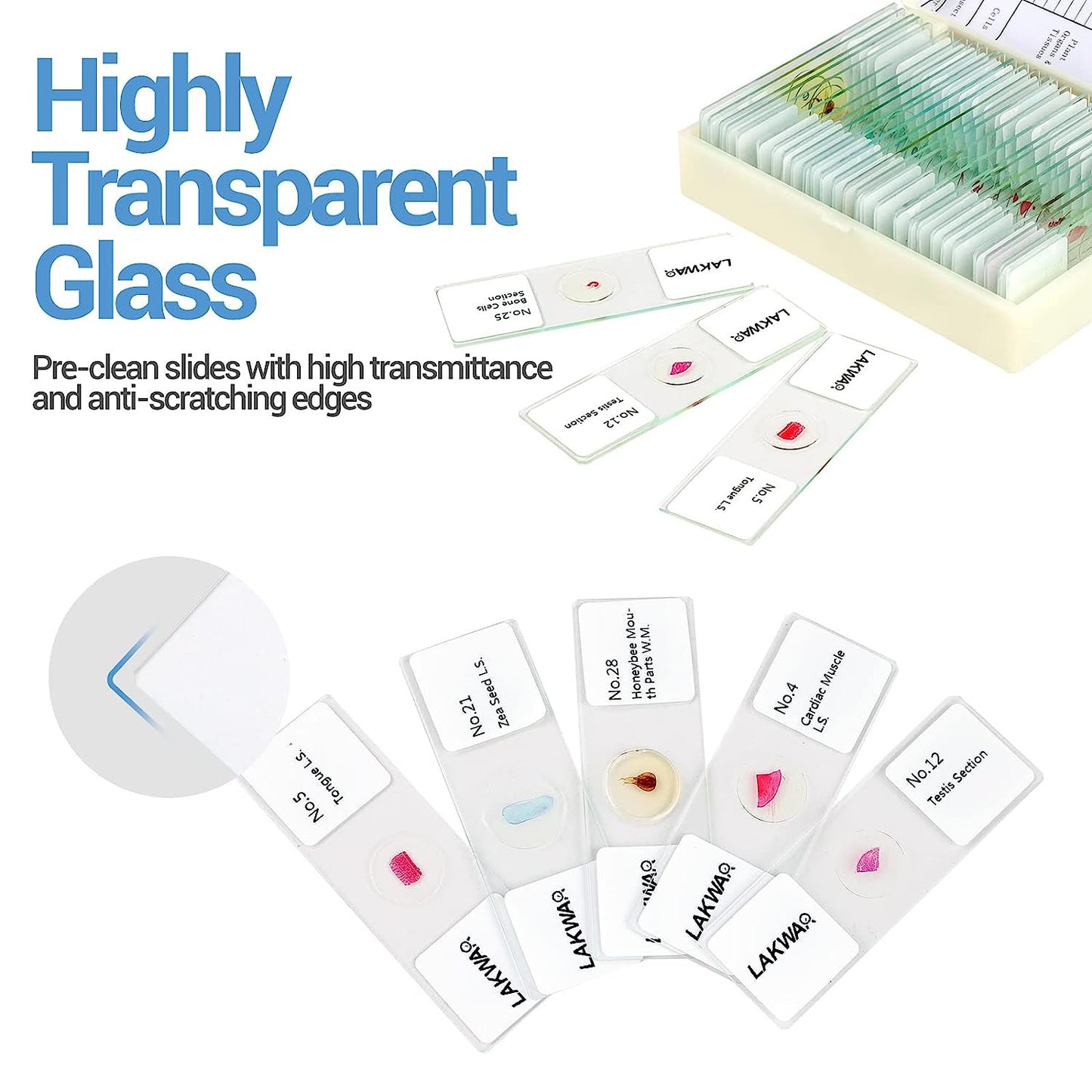 30PCs Microscope Slides, Prepared Microscope Slides with Specimens for Kids Microbiology,Prepared Microscope Slides for Adults