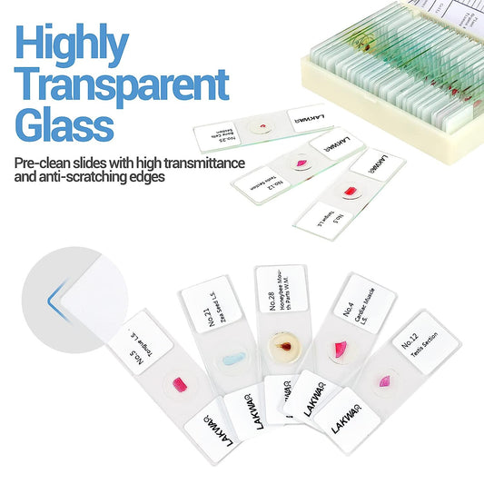 30PCs Microscope Slides, Prepared Microscope Slides with Specimens for Kids Microbiology,Prepared Microscope Slides for Adults