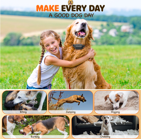 Dog Training Collar with Remote 2 Collars-Dog Shock Collar for All Dogs, Rechargeable Dog Bark Collar with Beep/Vibration/Shock Modes, Security Lock, Rainproof