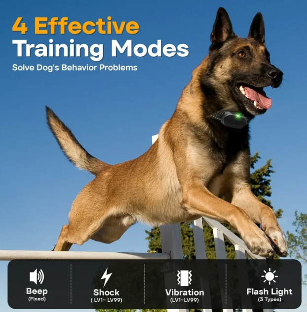 Dog Training Collar - Dog Shock Collar with Remote IP68 Waterproof for Small Medium Large Dogs (15 - 100 lbs)- 3 Safe Training Modes, 2600 Ft Rechargeable Romote Dog Collars