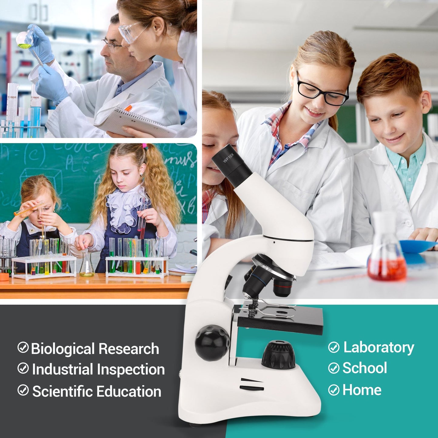 LAKWAR Microscope Profesional 40X-2000X Compound Microscope with LED Light, Slides,Phone Adapter, Optical Biological Microscopes for Student, Kids, Adults