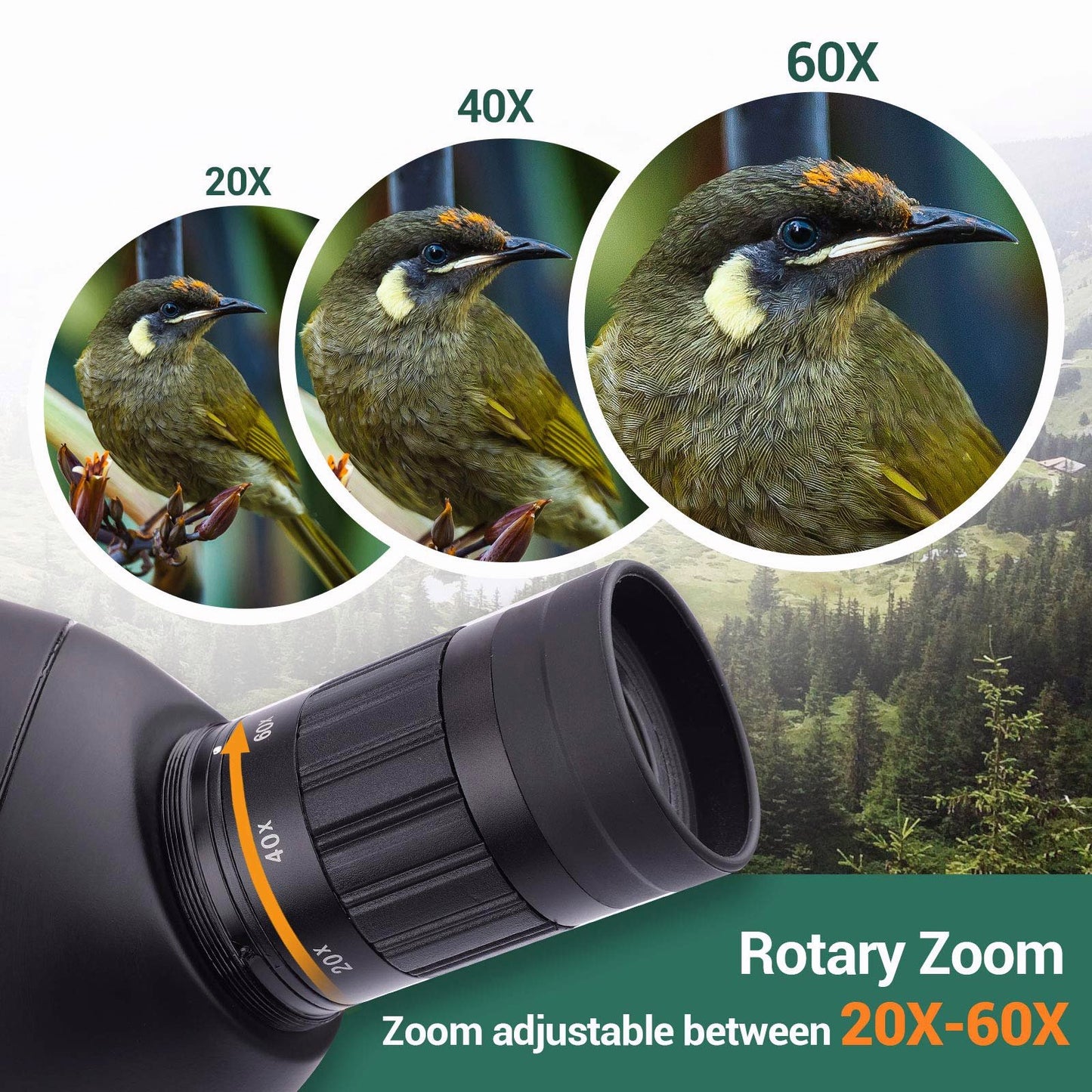 LAKWAR 20-60x80mm HD Spotting Scope for Bird Watching, Monocular Telescope BAK4 45-Degree Angled Eyepiece with Carrying Bag,Phone Photo Mount for Hunting Target Shooting Wildlife Scenery
