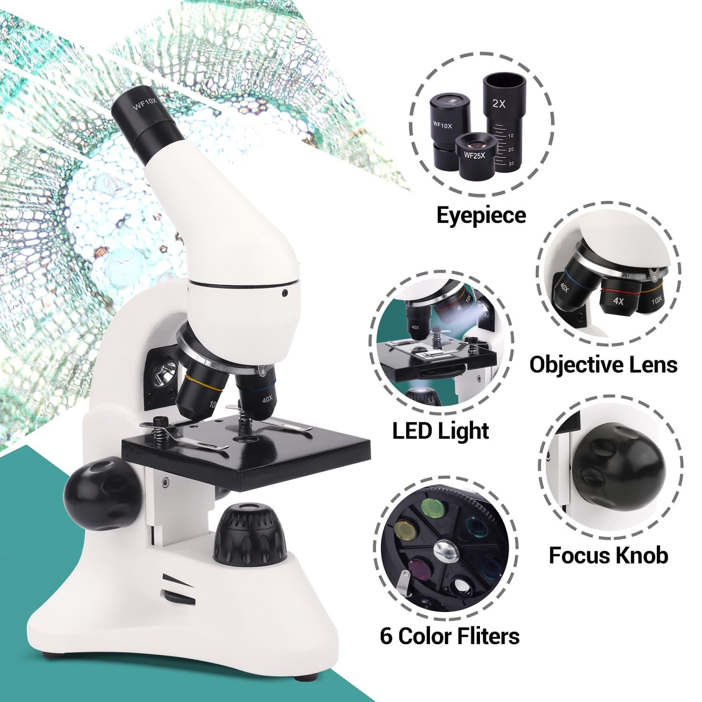LAKWAR Microscope Profesional 40X-2000X Compound Microscope with LED Light, Slides,Phone Adapter, Optical Biological Microscopes for Student, Kids, Adults