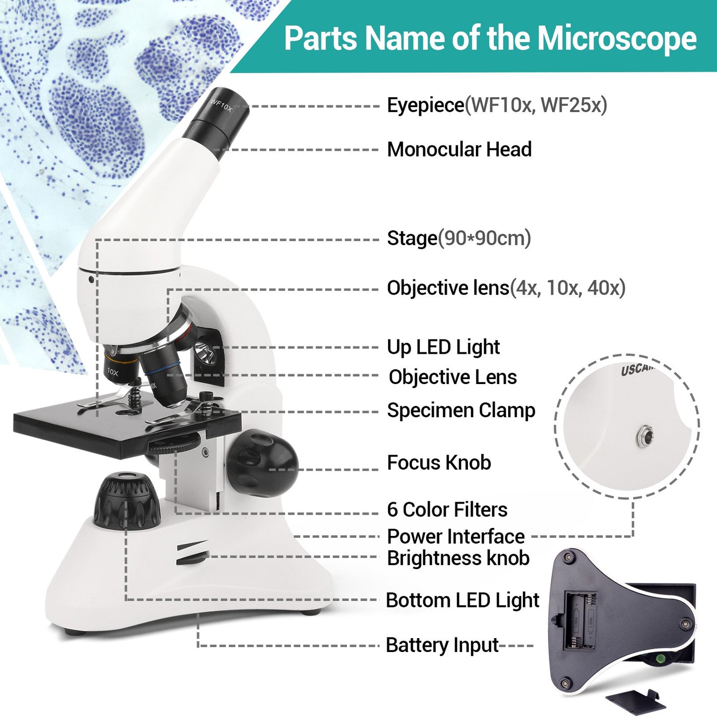LAKWAR Microscope Profesional 40X-2000X Compound Microscope with LED Light, Slides,Phone Adapter, Optical Biological Microscopes for Student, Kids, Adults