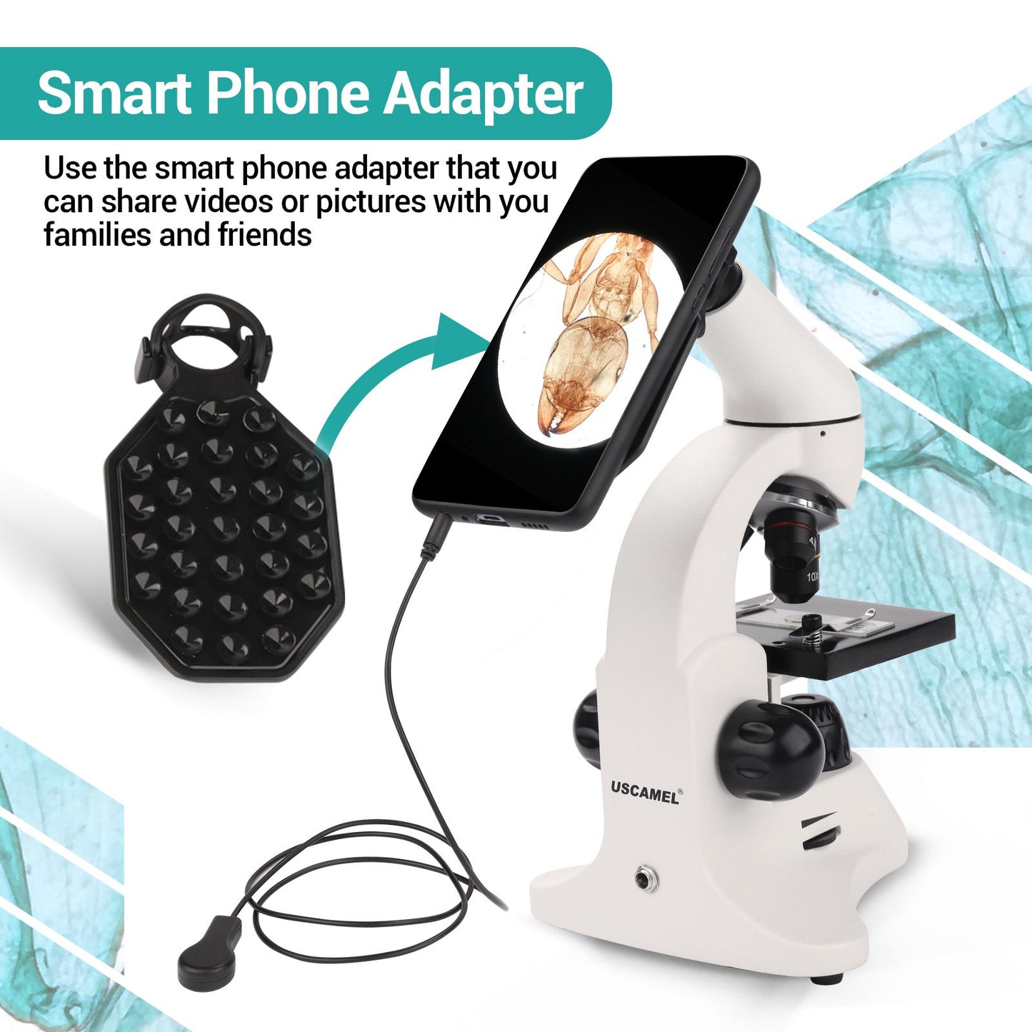 LAKWAR Microscope Profesional 40X-2000X Compound Microscope with LED Light, Slides,Phone Adapter, Optical Biological Microscopes for Student, Kids, Adults