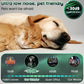 Dog Nail Grinder with LED Light, 5-Speed Quiet Dog Nail Trimmer-Safe Painless Nail Grooming & Smoothing for Small Medium Large Dog Breed，Green