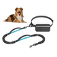 Hands Free Dog Leash for Running Jogging Walking with Zipper Pouch, Retractable Bungee Dog Leash Belt with Dual Padded Handles for Large/Medium Dogs, Adjustable Reflective Waist Belt