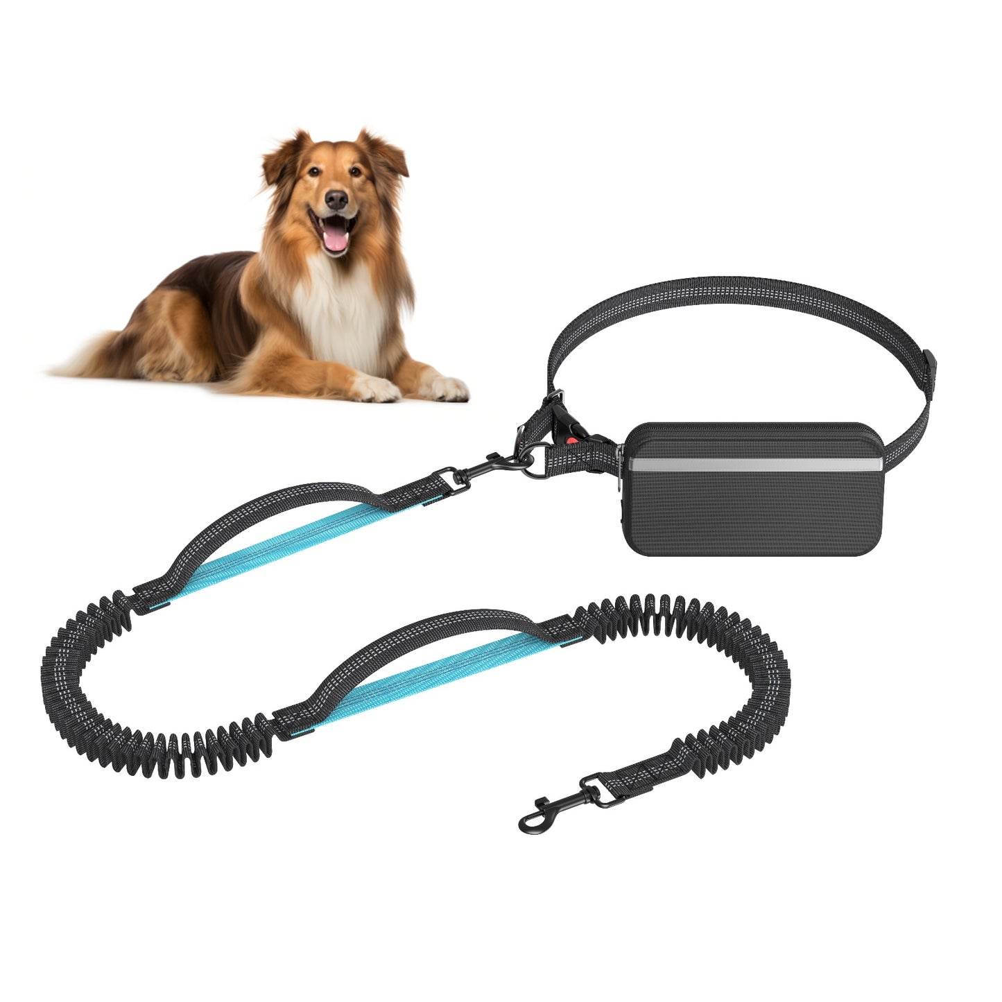 Hands Free Dog Leash for Running Jogging Walking with Zipper Pouch, Retractable Bungee Dog Leash Belt with Dual Padded Handles for Large/Medium Dogs, Adjustable Reflective Waist Belt