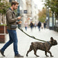 LAKWAR Hands Free Dog Leash for Running Jogging Walking with Zipper Pouch, Retractable Bungee Pet Leash Belt with Dual Padded Handles for Large Medium Dogs, Adjustable Reflective Waist Belt