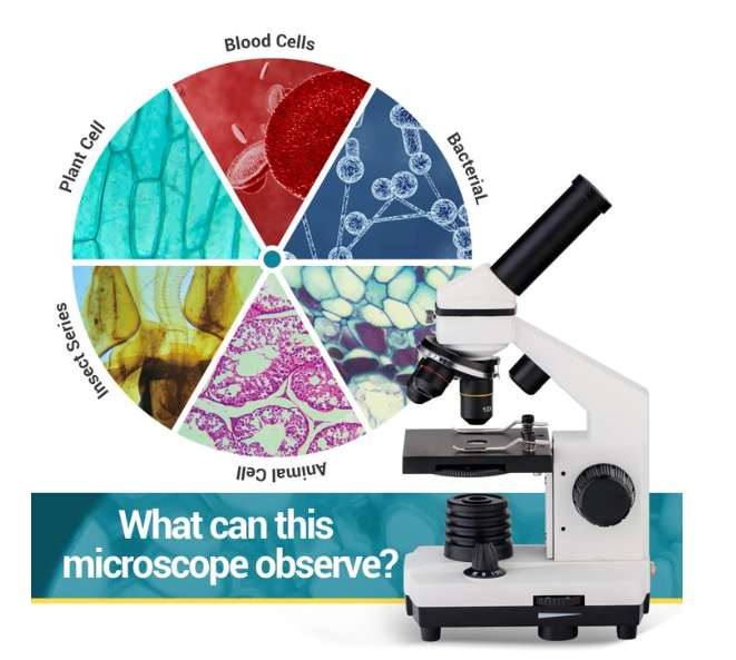 LAKWAR Microscope for Adults & Kids - 40X-2000X High-Power Biological Microscope for Students, School Lab & Home Education, with Slides Set & Phone Adapter