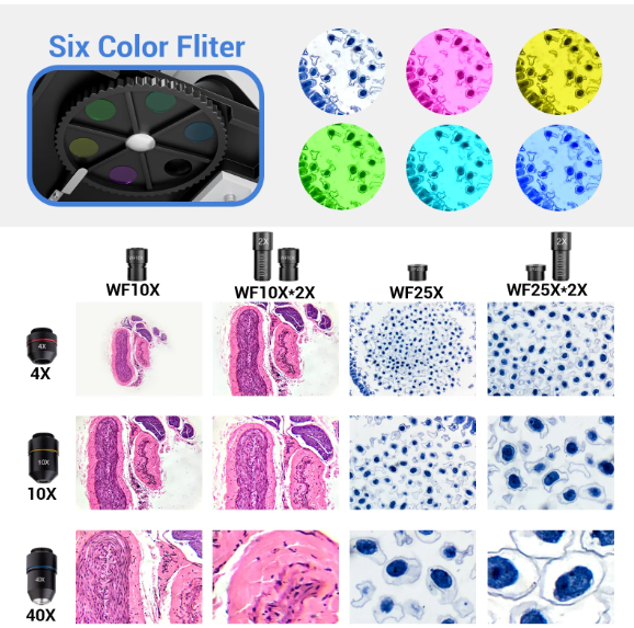 LAKWAR Microscope for Adults & Kids - 40X-2000X High-Power Biological Microscope for Students, School Lab & Home Education, with Slides Set & Phone Adapter