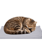 Pet Heating Pad for Dogs and Cats, Heated Cat Bed with Steel-Wrapped Cord and Soft Fleece Cover, 19.5 x 15.6 Inches Gifts for Cats Puppy in Winter