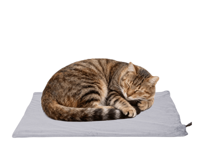 Pet Heating Pad for Dogs and Cats, Heated Cat Bed with Steel-Wrapped Cord and Soft Fleece Cover, 19.5 x 15.6 Inches Gifts for Cats Puppy in Winter