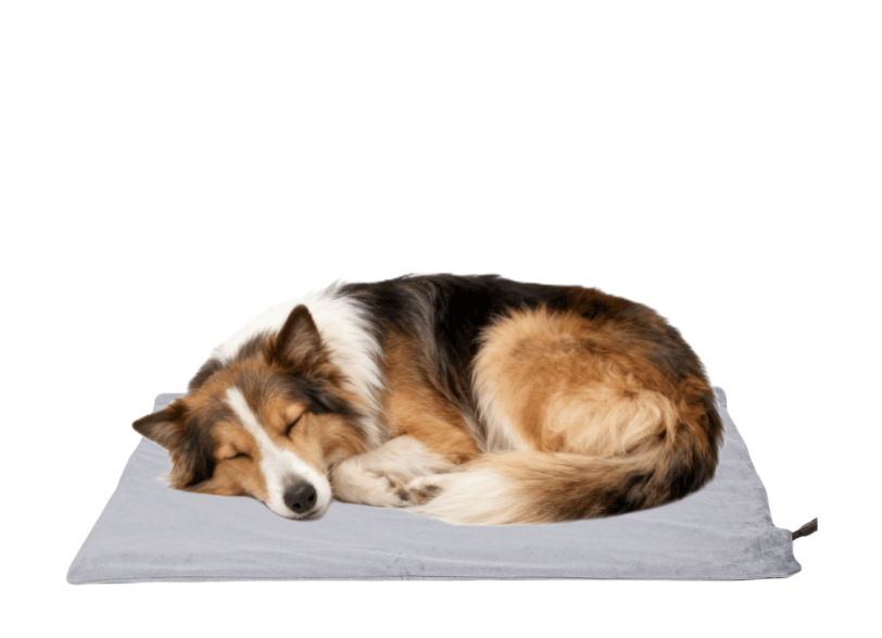 Pet Heating Pad for Dogs and Cats, Heated Cat Bed with Steel-Wrapped Cord and Soft Fleece Cover, 25.4 x 19.5 Inches Gifts for Cats Puppy in Winter