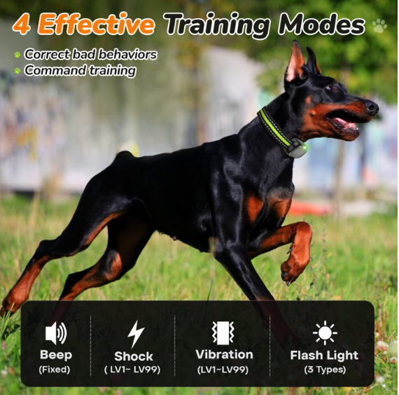 Dog Shock Collar with Remote - Dog Training Collar 2600 ft Waterproof for Small Medium Large Dogs (15 - 100 lbs)- 3 Safe Training Modes, Rechargeable Dog Bark Collars-Green