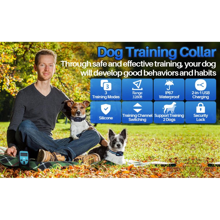 Is shock 2024 collar training effective