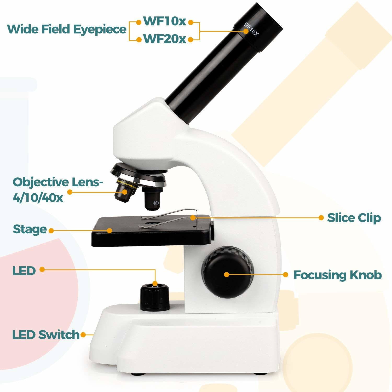 Microscope for Adults Kids Students 100-2000x Magnification Powerful  Biological Educational Microscopes with Operation Accessories (10p), Slides  Set