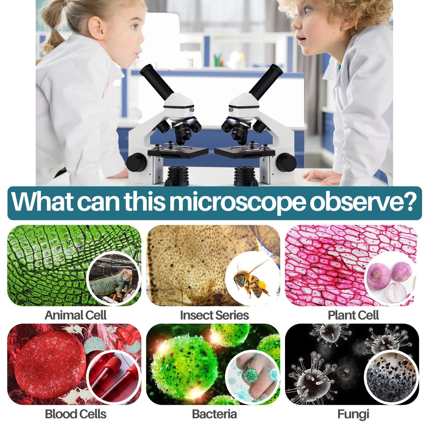 LAKWAR Microscope Profesional,100X-2000X Compound Microscope Kit for Kids Students Adult,Powerful Biological microscopio with Slides for School Laboratory Home Education